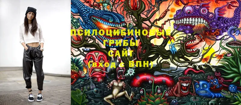 Псилоцибиновые грибы Magic Shrooms  закладка  Короча 